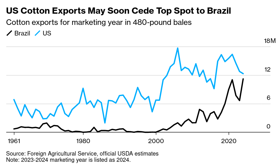 /brief/img/Screenshot 2024-03-25 at 07-42-44 America Is Down to Its Last 100 Cotton Mills.png